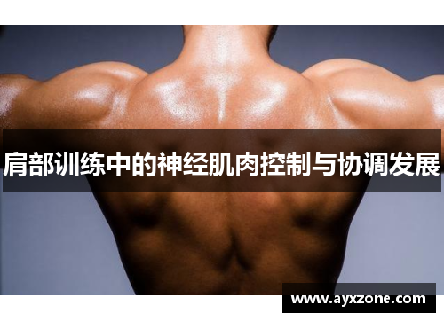 肩部训练中的神经肌肉控制与协调发展 肩部训练中的神经肌肉控制与协调发展
